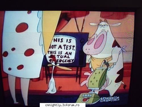 Poze - Zeita_haosului - Cow and chicken